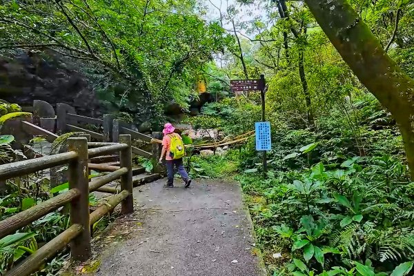淡蘭古道中路百年山徑~暖東峽谷大環步道2846397