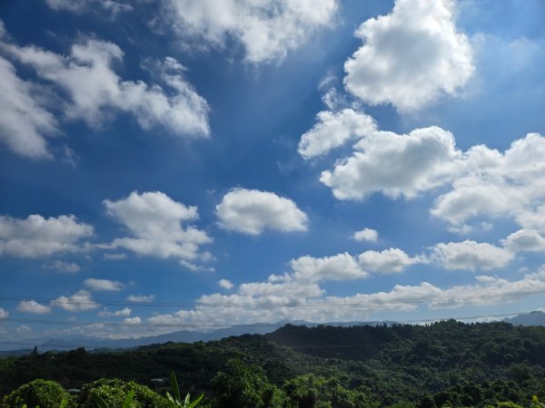 阿罩霧山、中心瓏步道（小百岳）2615701