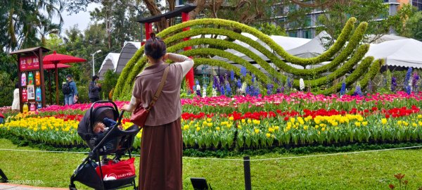 #士林官邸 #鬱金香 #碧山巖 #椿寒櫻 #國父紀念館 #八重櫻 3/5 #三層崎 #嗄嘮別 3/63010399