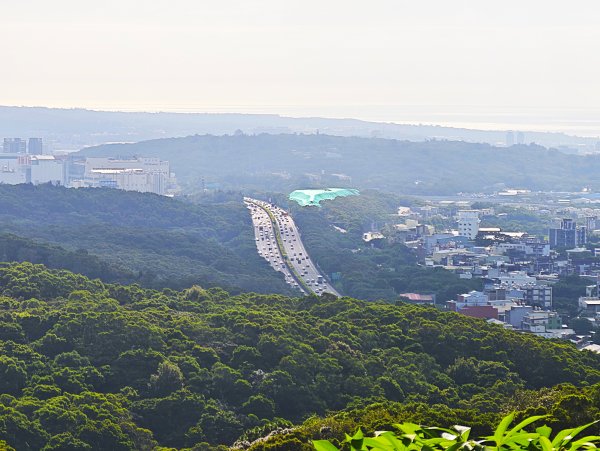 [皮皮獅動物派對-02/10] 2026_0815 仁和步道、金獅古道
