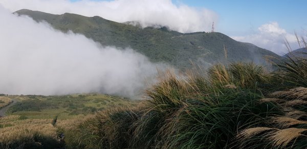 大屯山主峰步道760173