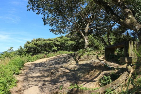 〔石碇〕鱷魚島🐊🐊🐊，晴空萬里下的萌萌淡碇鱷   最美。石碇 千島湖 土虱頭  永安景觀步道2213343