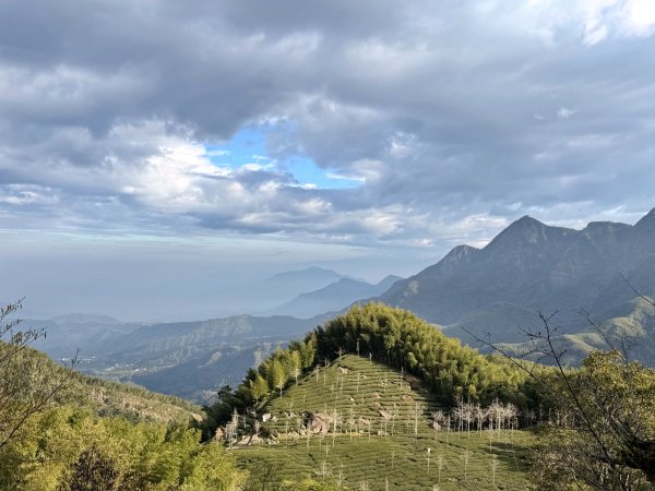 溪頭四秀+羊彎四秀202601182991359