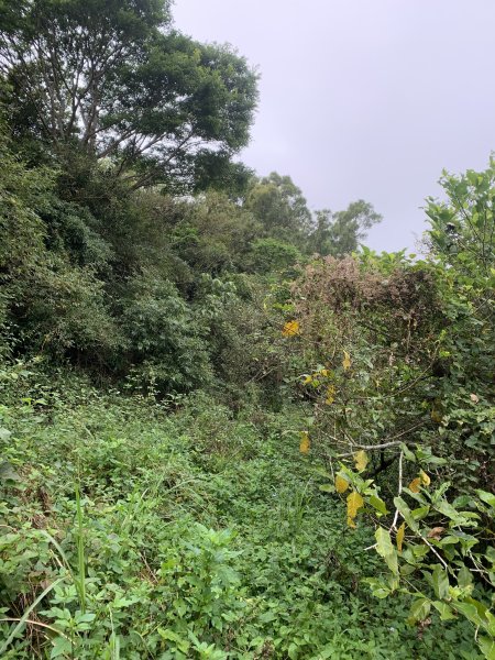 20250127屏東坪埔厝山-草山-南湖呂山西峰-南湖呂山2705101