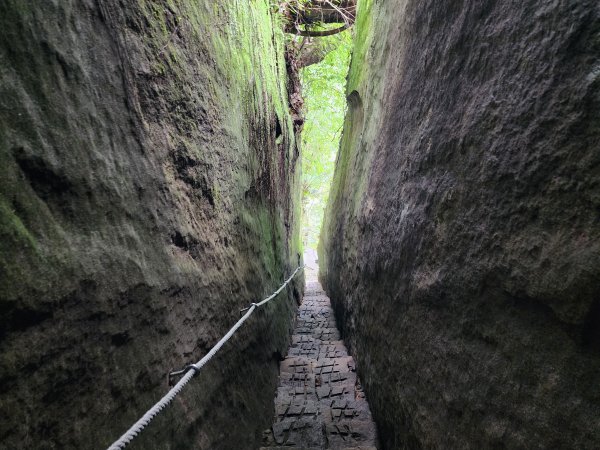 五指山橫向登山步道×猴洞步道一線天3060558
