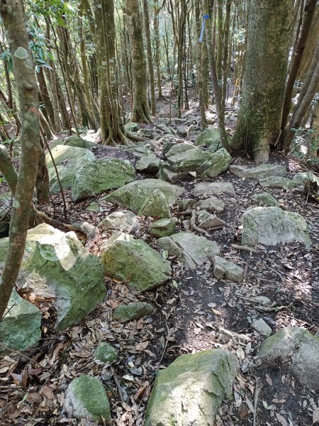 谷關七雄屋我尾步道