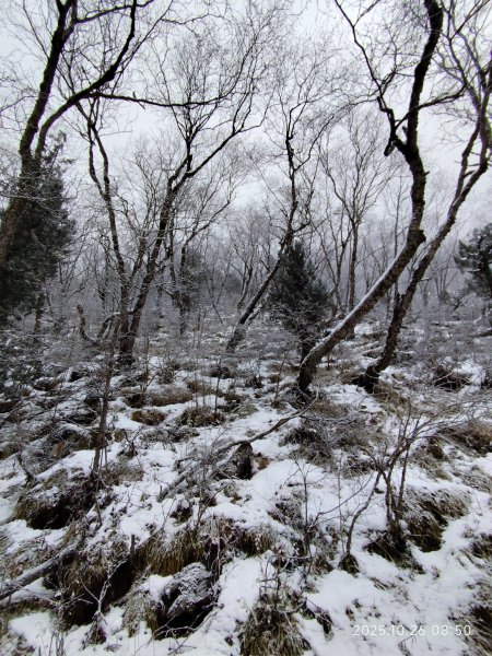 四川黃龍風景名勝區2935604