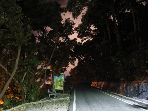 [漫遊縱谷 愛在花東-10/10] 2025_1012 美崙山步道2913578