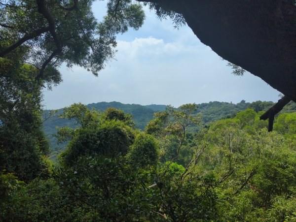 2025.08.30－微笑山線：【大棟山系】2874478