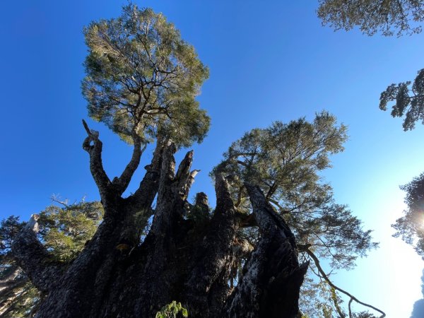 一日南橫二星人品爆發2995764