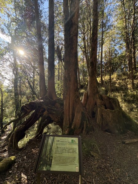 20251225塔山步道(大塔山)2970360