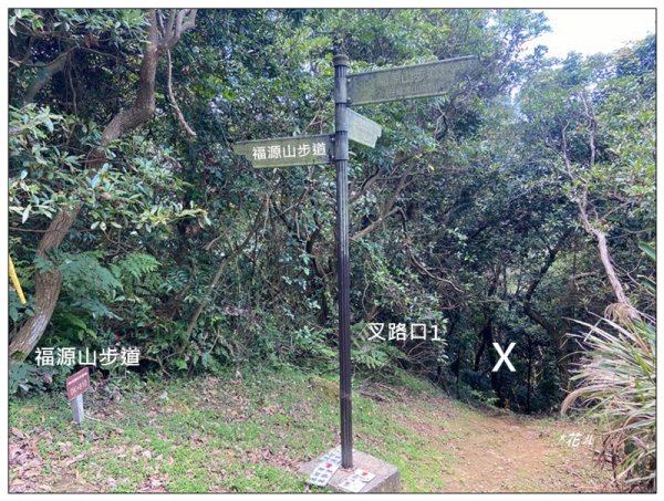福源山步道 (桃園、龜山)2819169