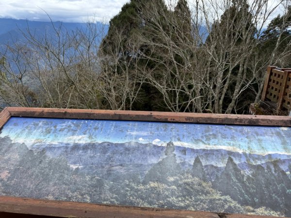 1150301溪頭天文台步道3008351