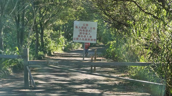 20251003高麗坑山-新高麗坑山-高麗坑山西北峰2903138