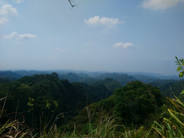 霧峰奧山桐林山步道群通爬860243