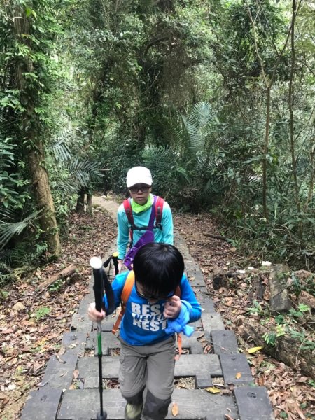獅頭山、猿山、獅尾山三連走525981