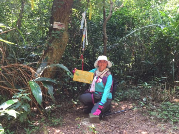 拓印檯關渡親山步道忠義山親山步道貴子坑親575907