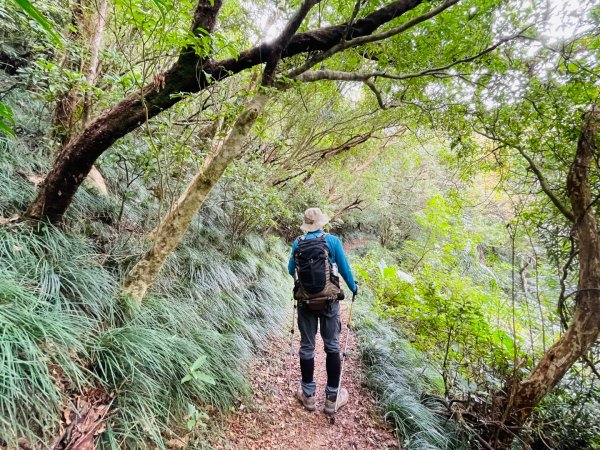 1150124帽子山。25落山風藝術季。2987161