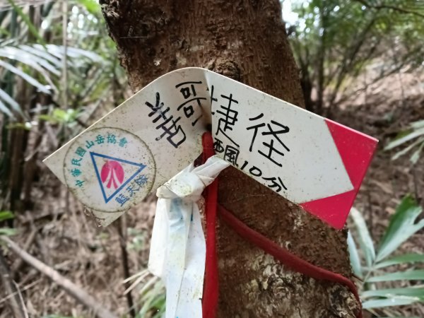 寶山鄉寶山水庫(寶山東峰+中峰+中西峰+西峰+西北峰)+尖山O型3012561