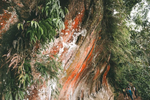微笑山線步道縱走活動・親子達人藍白拖帶路【鳶山彩壁】三峽老街旁的登山路線｜爬山・逛老街・藍染手作一日慢旅