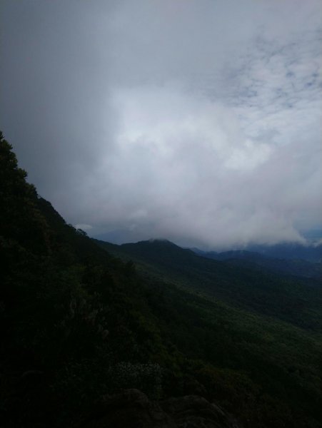 美麗的山林～加里山（小百岳）O型走597872
