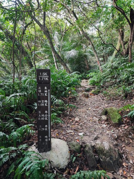 暖東峽谷步道-(基隆)臺灣百大必訪步道2249152