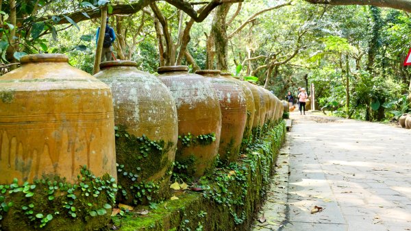 《蝶戀花。五色春深》2731659