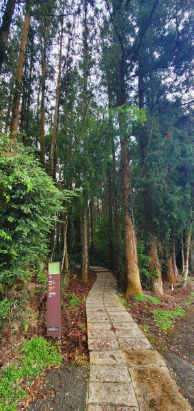 2025-01-18頂湖步道2694214