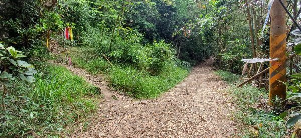 白雲山.高雄甲仙2770666