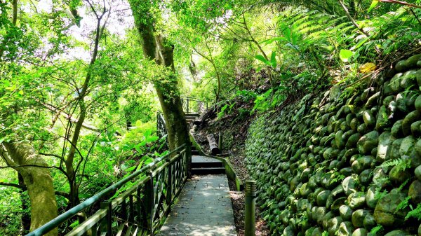 微笑山線和美山螢火蟲段2845897