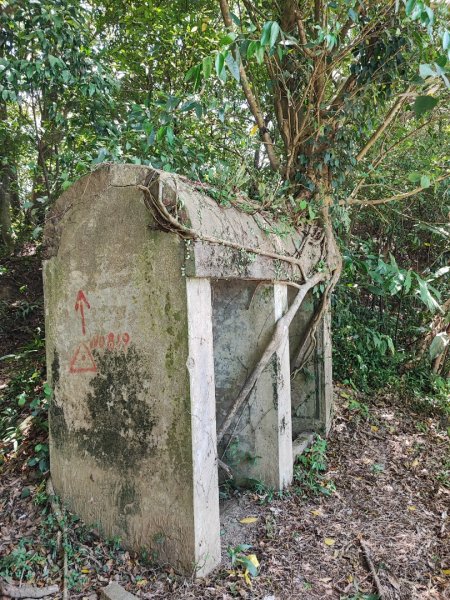 情人湖環山步道-(基隆)臺灣百大必訪步道2249567