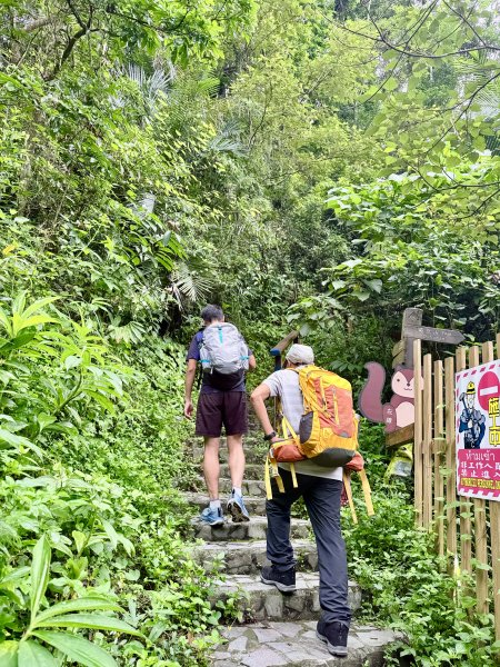 獨立山奉天岩健行趣（雲霧山林間的悠閒時光）   2026.7.303096379