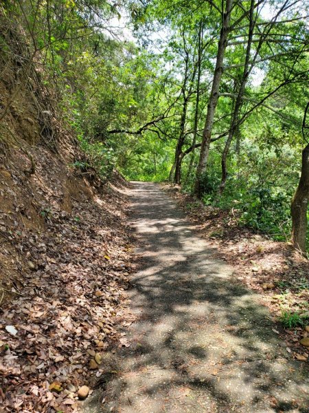 【彰化 | 橫山】975450