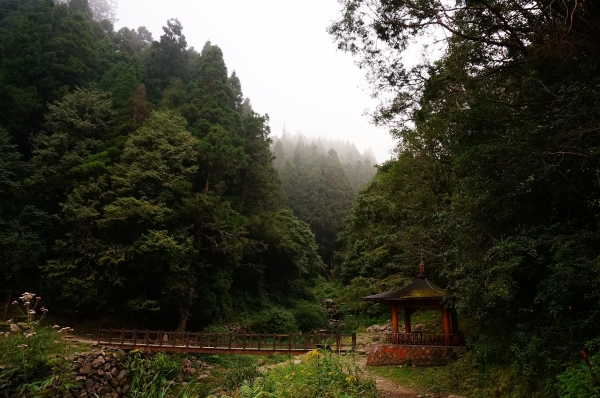 特富野古道90989