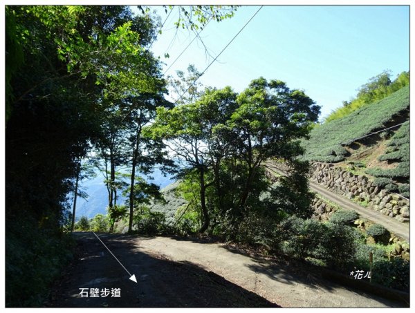 五元二角、番子田山、雲嶺之丘1530727