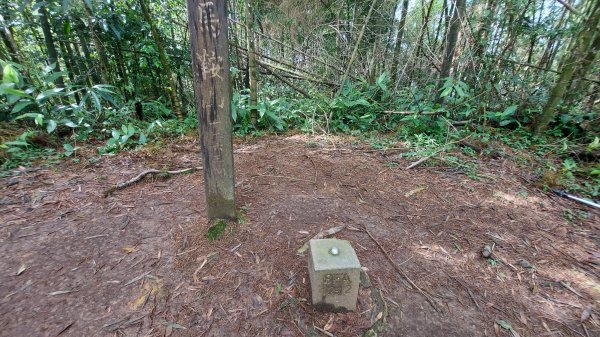 雲嘉九連峰1438949