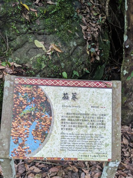 蓬萊溪護魚步道3047362
