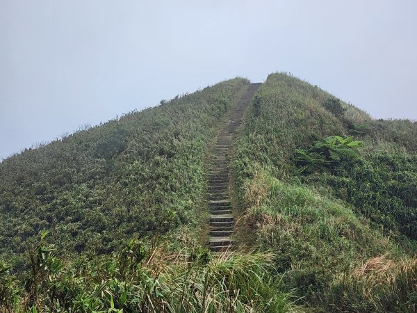 小百岳No.82⛰灣坑頭山3003073