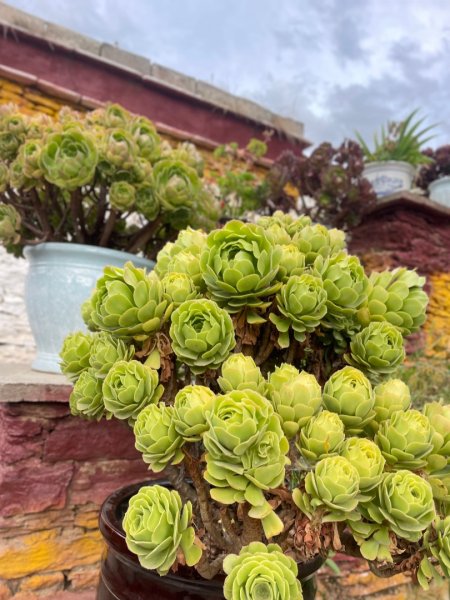 川藏深度之旅33天/A行程2901254