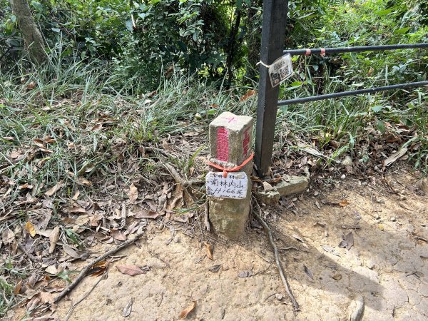 龍過脈森林步道2969778