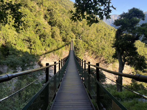 [玉山尋寶任務-03/12] 2025_0810 瓦拉米步道2857388