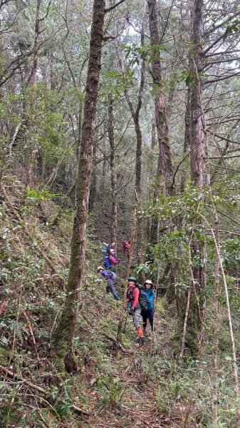 芃芃山西北稜大內台2693949