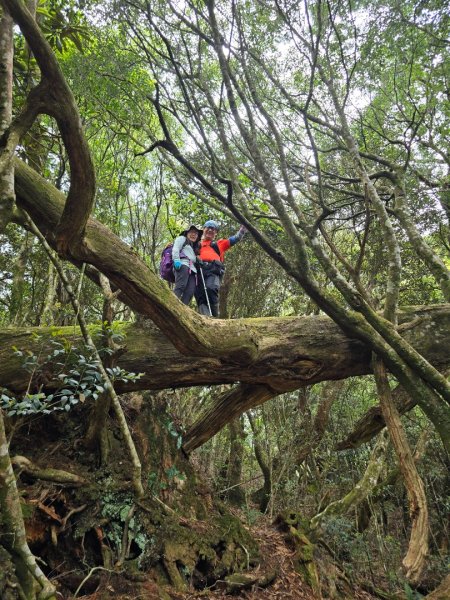 1130511夫拉縱走2501642