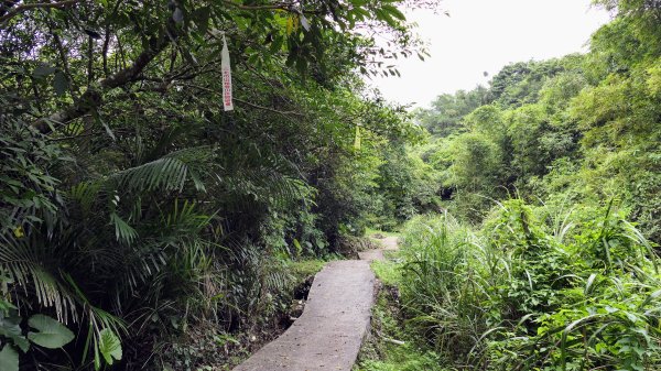 玉田古道,大湖越嶺保甲路2582303