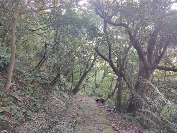 1121121紗帽山3098580
