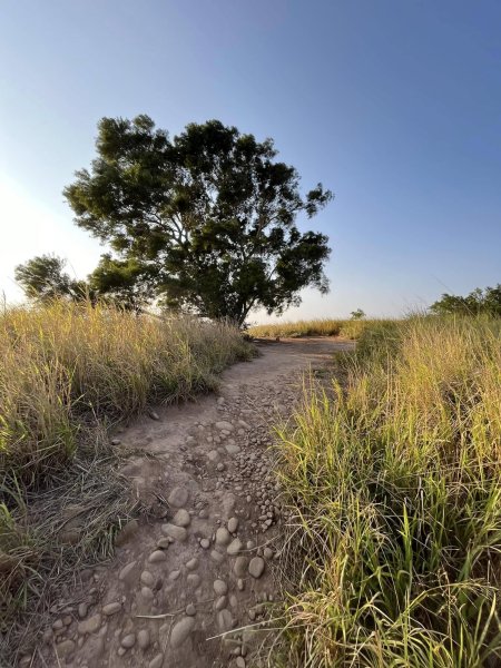 知高圳步道2711614