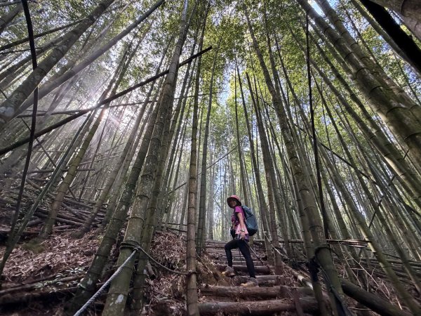 三崠連走O繞-肥崠(長壽)山-大崠山-醜崠山 202605313074256