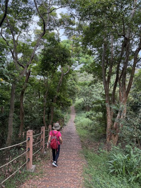 挑水古道附近古道串聯+藤山步道202505032784342