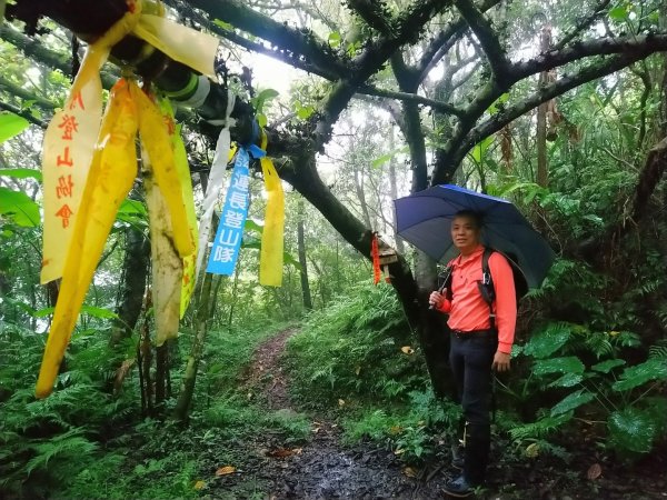 璀璨百年淡蘭古道～中坑古道、崩山坑古道、柑腳山O走1113366