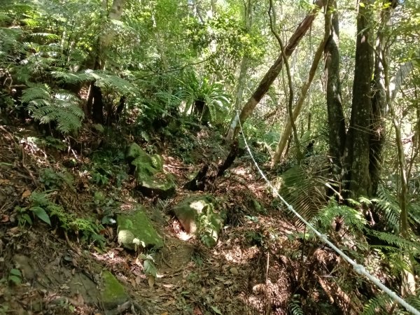 汐止區小溪瀑布+車坪寮土地公稜線2890144